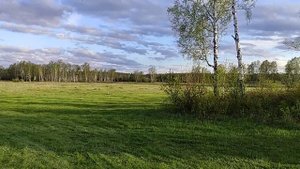 Лучший вариант для перевозки пчёл