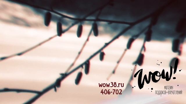 Не знаете что подарить на 23 февраля? Магазин-впечатлений WOW знает ответ! смотреть онлайн