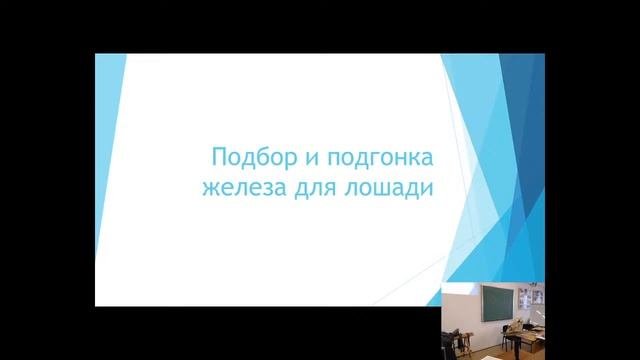 Лекция. Выездка. 2 часть. 19.02.2021