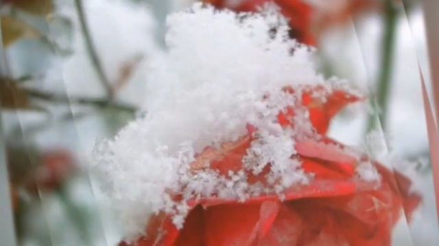 13 декабря 2020 г. смотреть онлайн