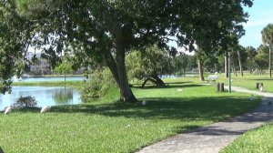 Алекс Брежнев уезжает жить в США