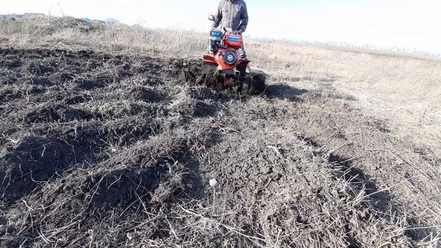 ?*Фрезерование почвы мотоблоком заросшей пыреем*/*Milling of the soil tillers overgrown with grass* смотреть онлайн