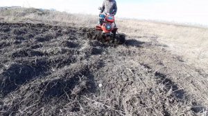 ?*Фрезерование почвы мотоблоком заросшей пыреем*/*Milling of the soil tillers overgrown with grass*