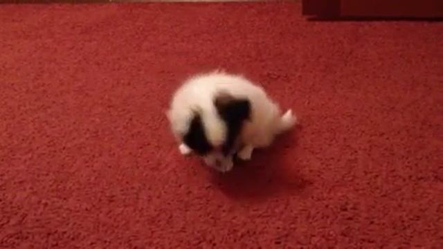 Очаровательный малыш смотреть онлайн