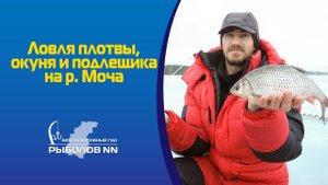 Ловля плотвы, окуня и подлещика на реке Моча