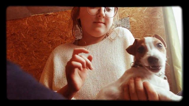 🐶как правильно одевать собаке ошейник! 🐶