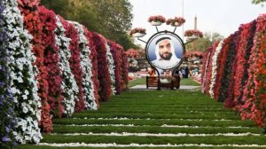 Отдых в ОАЭ Какой эмират выбрать, ч 1
