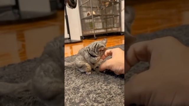 Какая милота😍