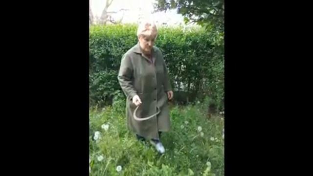 Субботник в Береславской участковой больнице смотреть онлайн