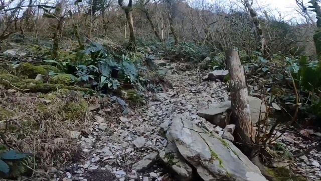 Пасть дракона. Окресности Сочи. смотреть онлайн