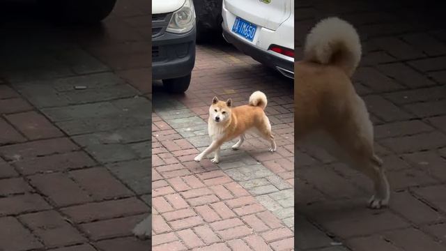 1000002539.mp4 смотреть онлайн