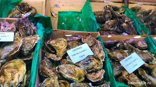 Муниципальный рынок Оливар, Пальма, Майорка / Mercado de Olivar смотреть онлайн