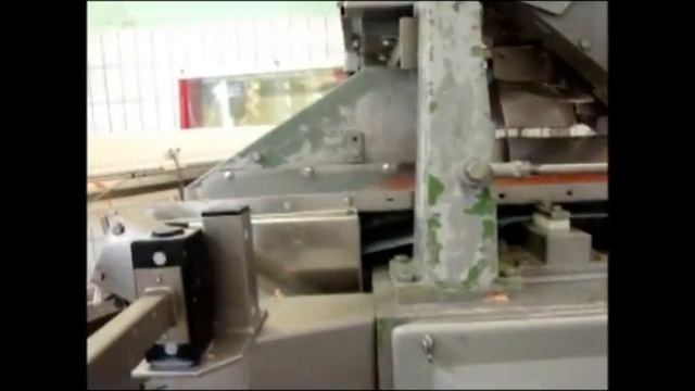 Переработка красной рыбы на фабрике при помощи Baader 200