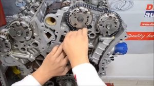 Motor Chevrolet 3.6L Distribución/Chevrolet 3.6L Engine Distribution