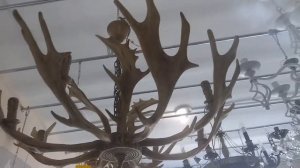 Люстры и бра в виде рогов оленя . лося и т.д. г. Балаково  маг. ИМПЕРИЯ СВЕТА  ул. Киевская 71