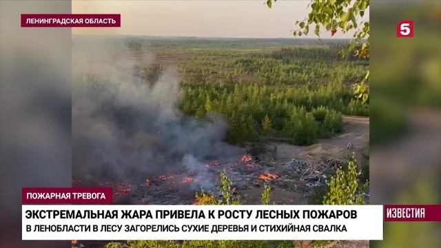 С трудом удалось остановить: под Петербургом МЧС борется с лесными пожарами