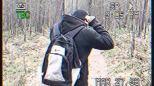 Chaze Sharp - Tree Carvings