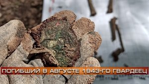 Полевые новости #3 | Погибший гвардеец | EE88