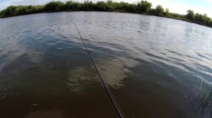 BFS на Волге Окунишки да судачки