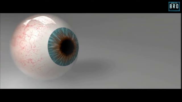 НЕОБЫЧНЫЕ И РЕДКИЕ ОСОБЕННОСТИ ТЕЛА смотреть онлайн