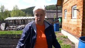АКТУАЛЬНО! Всё о флоксах Голова садовая