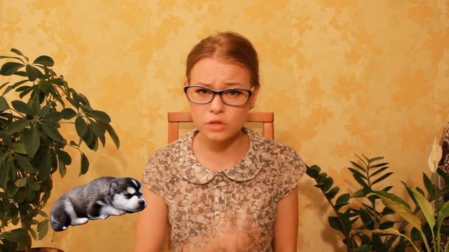 ЗНАЕТЕ ЛИ ВЫ, почему в спальню нельзя ставить много растений? /BlackBat/ смотреть онлайн