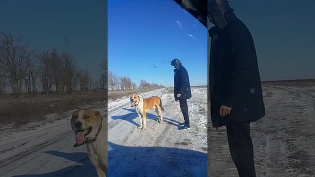 Малыш внук красного Тарзана участник кубка мира 18-19гг. Готовимся на 3 тур смотреть онлайн