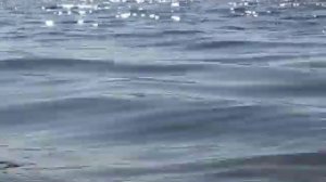 Медицинский центр "Озеро Чусовское"