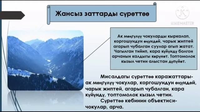 5-кл Жандуу жана жансыз заттарды суроттоо