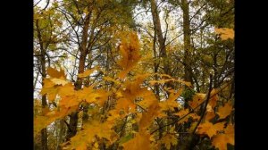 В гармонии с природой.