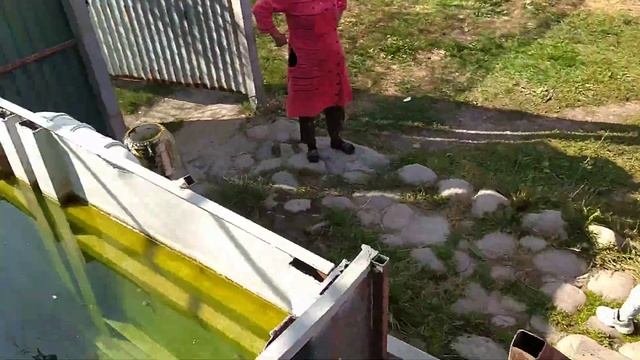 контейнерное выращивание радужной форели