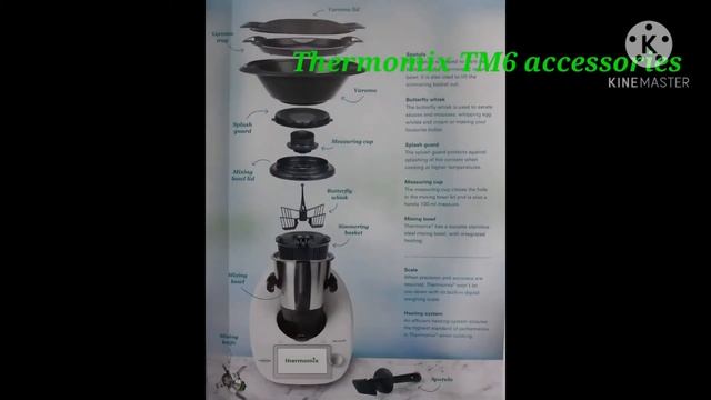 Thermomix TM6 In-DEPTH Review and Testing
