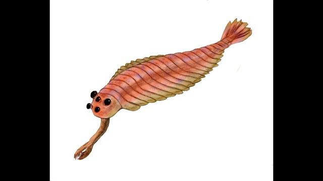 Топ 5 странных существ живших до динозавров часть 2 смотреть онлайн