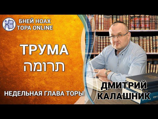 Недельная глава ТРУМА || Дмитрий Калашник || 5782