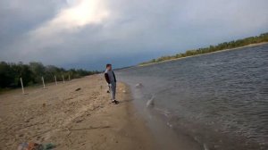 ловля Селедки, на Дону
