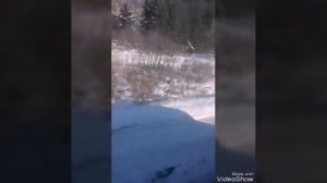 Трасса Усть-Каменогорск Риддер село зимовье