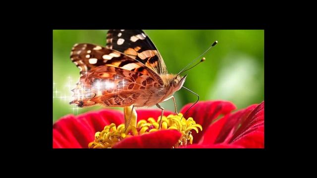 чудесная музыка для души?расслабляющая музы?ка исцеляющая успокаивающая музыка?медитативная музыка смотреть онлайн