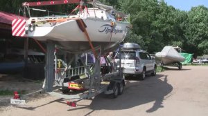 Лиса на пограничном переходе Шумилкино