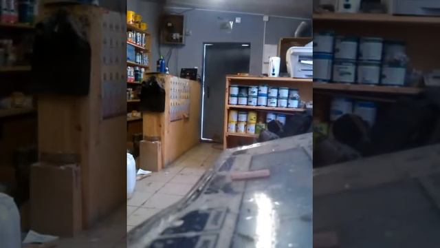 выбор пневматических пуль для охоты на утку, зайца, пробивная способность смотреть онлайн