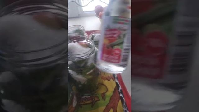 Нонсенс солим огурцы зимой #короткоевидео