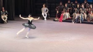 «Лебединое озеро» вариация Одиллии 🖤Ева Сергеенкова. “Swan lake” #большойтеатр #ballet #dancer