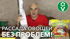 ВЫ ТОЖЕ СОВЕРШАЕТЕ ЭТИ ОШИБКИ ПРИ ПОСЕВЕ! Доступные СПОСОБЫ избежать проблем РАССАДЫ
