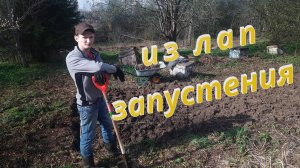 восстанавливаю заброшенный участок | первая грядка на заброшенном участке | пчёлы погибли!