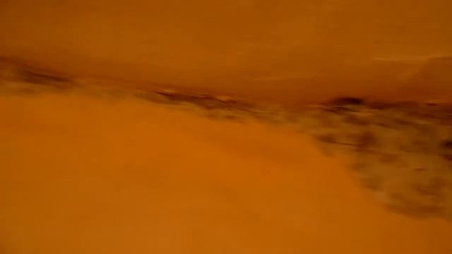 Как боротся с плесенью смотреть онлайн