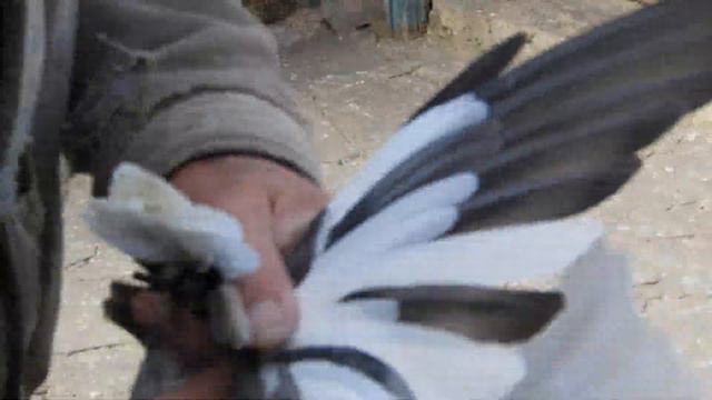 Для красивого полёта БК- погоду подобрать не просто. смотреть онлайн