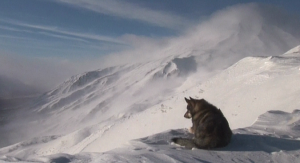 Лыжники и сноубордисты на Камчатке