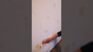 ЧЕМ ПОМЫТЬ СВОИ ОБОИ? ОБЩАЯ УБОРКА ОТ ERSAG