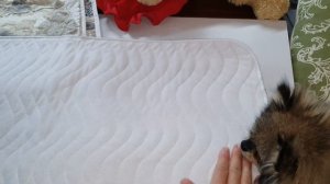 Многоразовые пелёнки. Использование, замена, уход.