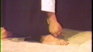 Takemusu Aiki Morihiro Saito