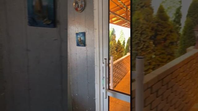 Оздоровительный центр духовного и физического развития «Кассиопея». Взгляд изнутри. ИРИНА ПОДЗОРОВА